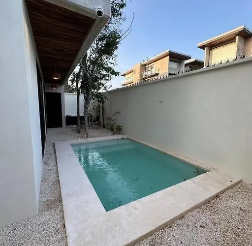 Botanics By Endemico Los Laureles